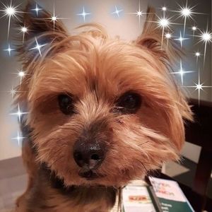 Meet your Posher, Judy